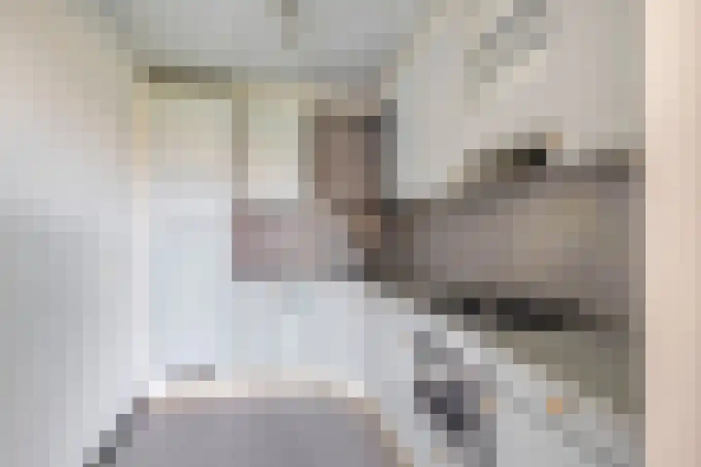 Du Meelaan 460 Zoetermeer thumbnail 6