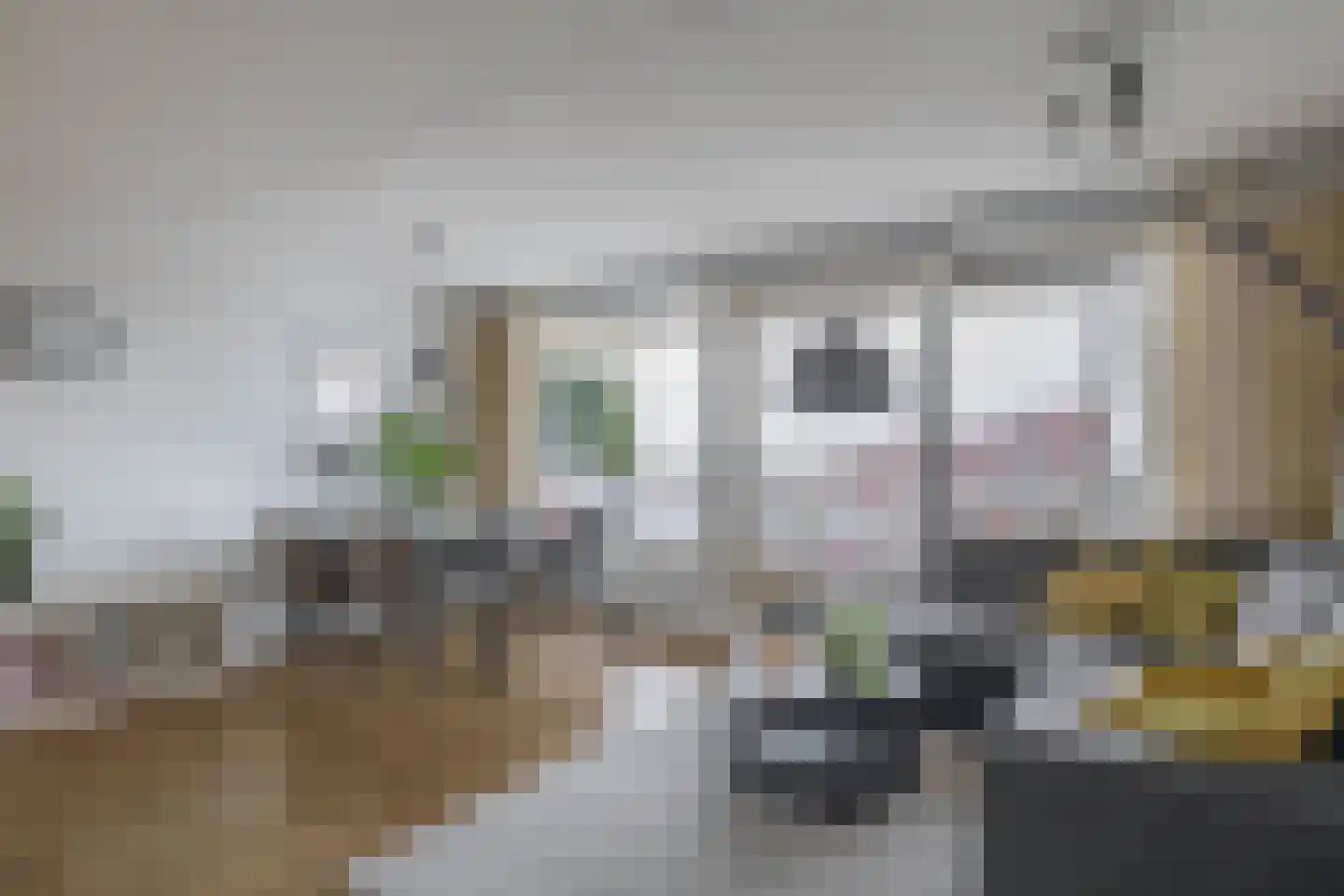 Du Meelaan 476 Zoetermeer thumbnail 12