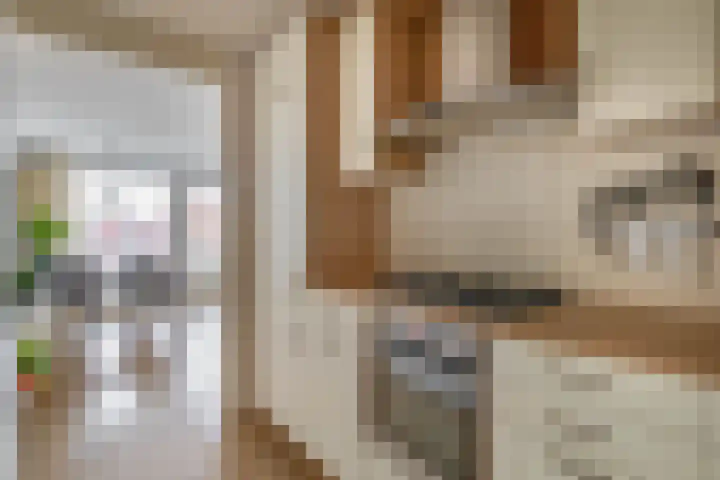Du Meelaan 476 Zoetermeer thumbnail 19