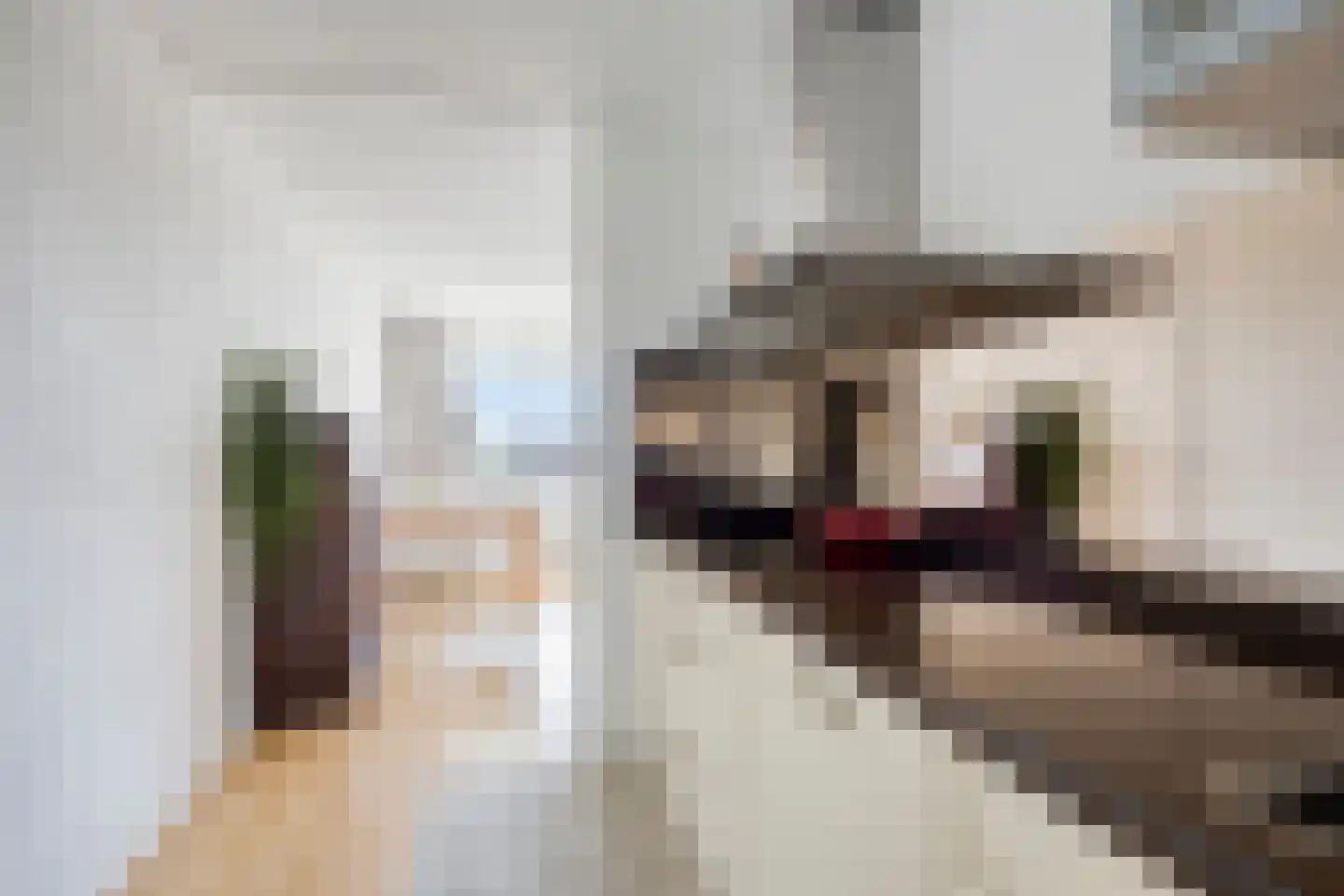 Du Meelaan 490 Zoetermeer thumbnail 18