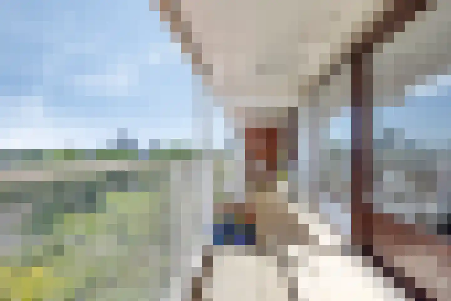 Du Meelaan 490 Zoetermeer thumbnail 26