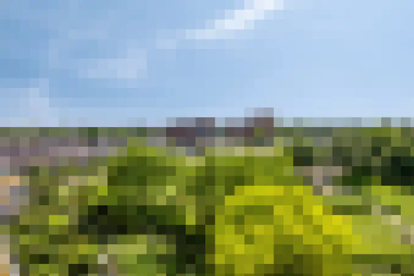 Du Meelaan 490 Zoetermeer thumbnail 29