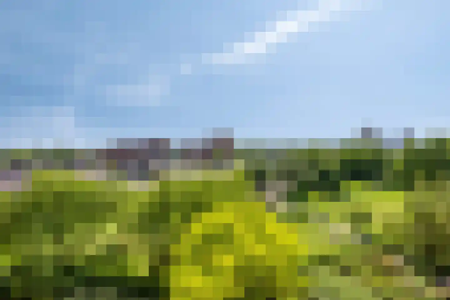 Du Meelaan 490 Zoetermeer thumbnail 30