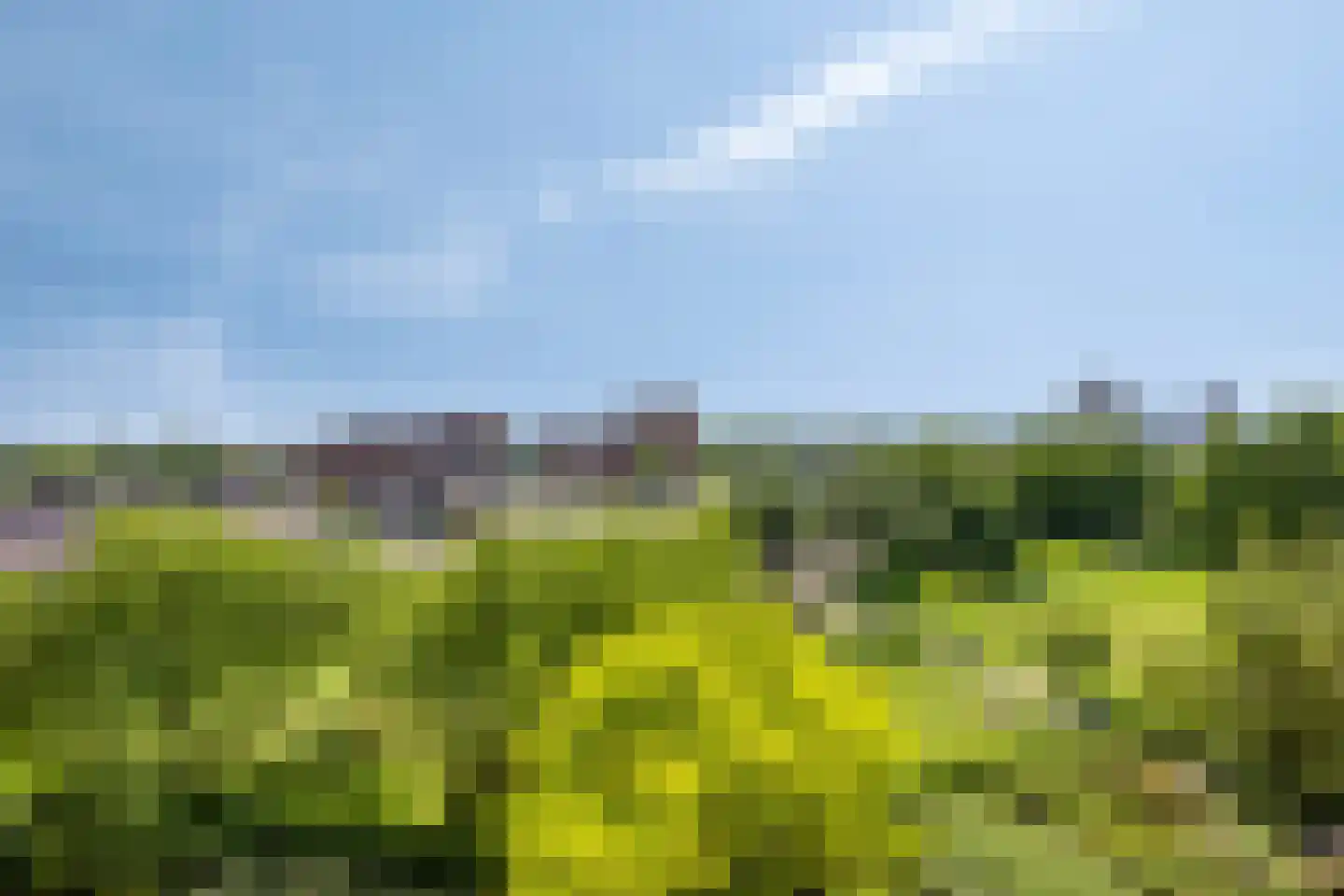 Du Meelaan 490 Zoetermeer thumbnail 4