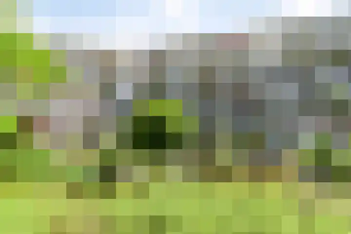 Du Meelaan 498 in Zoetermeer