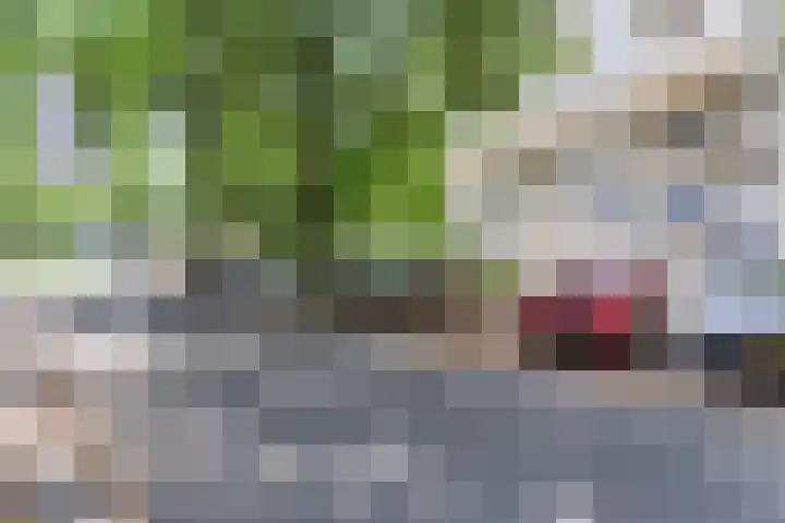 Du Meelaan 498 Zoetermeer thumbnail 10
