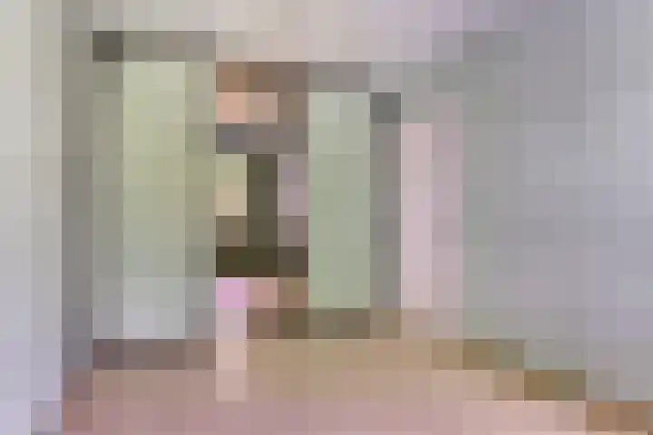 Du Meelaan 498 Zoetermeer thumbnail 15