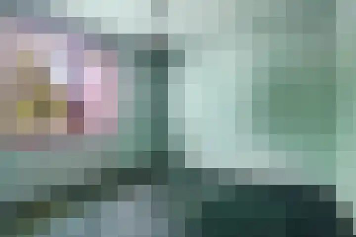 Du Meelaan 498 Zoetermeer thumbnail 18