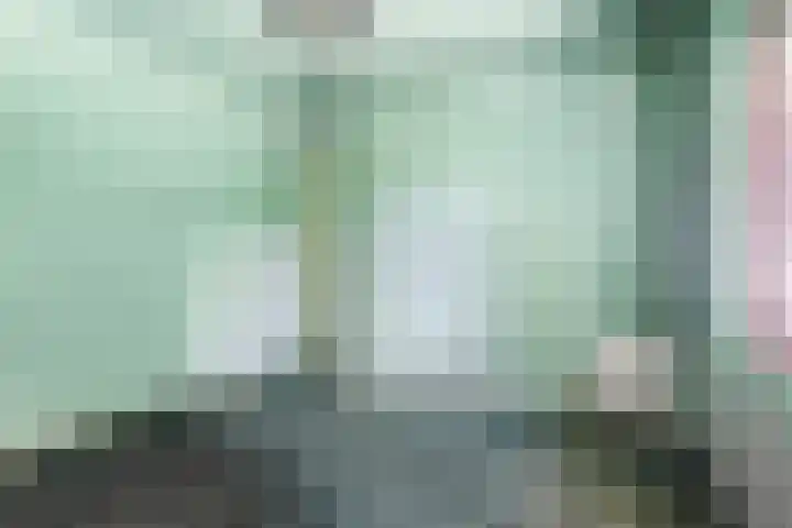 Du Meelaan 498 Zoetermeer thumbnail 19