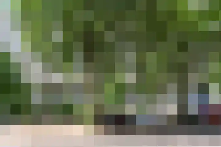 Du Meelaan 498 Zoetermeer thumbnail 22