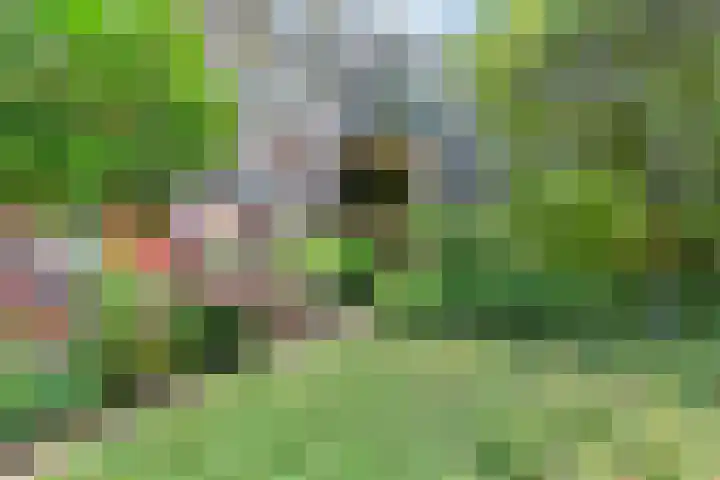 Du Meelaan 498 Zoetermeer thumbnail 23
