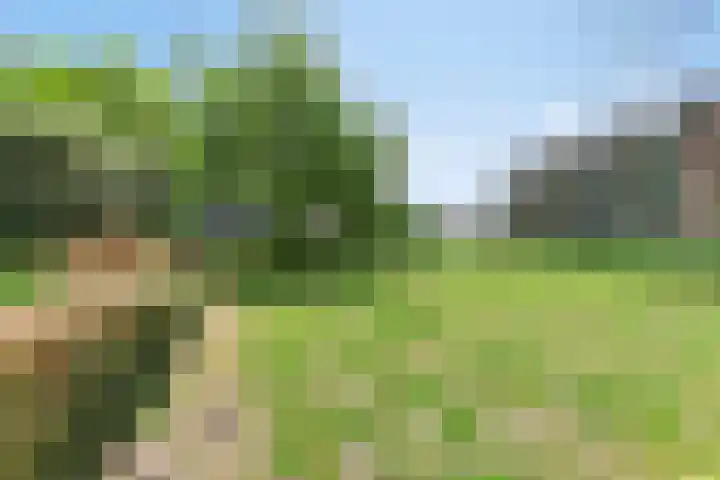Du Meelaan 498 Zoetermeer thumbnail 24