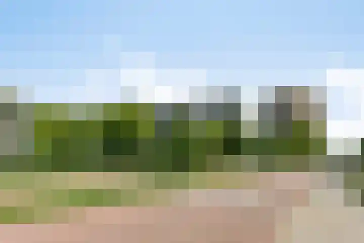 Du Meelaan 498 Zoetermeer thumbnail 26