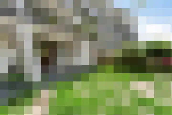 Du Meelaan 498 Zoetermeer thumbnail 4
