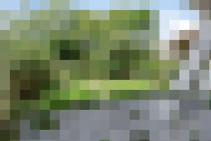 Du Meelaan 498 Zoetermeer thumbnail 5