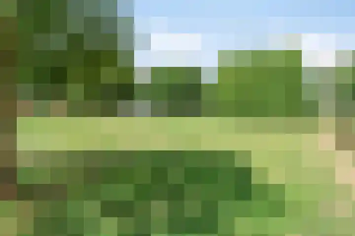 Du Meelaan 498 Zoetermeer thumbnail 6