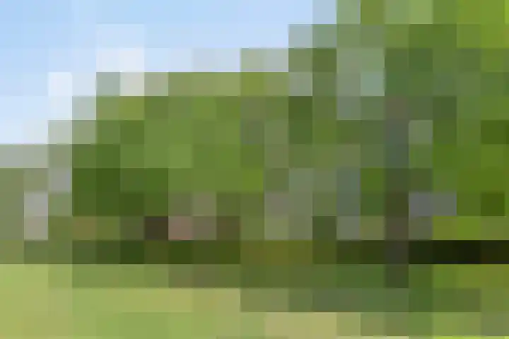 Du Meelaan 498 Zoetermeer thumbnail 7