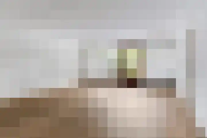 Du Meelaan 498 Zoetermeer thumbnail 8