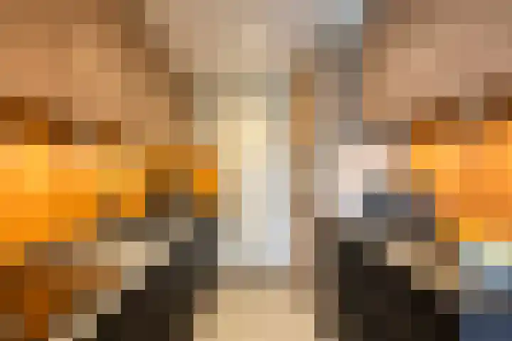 Du Meelaan 546 Zoetermeer thumbnail 10