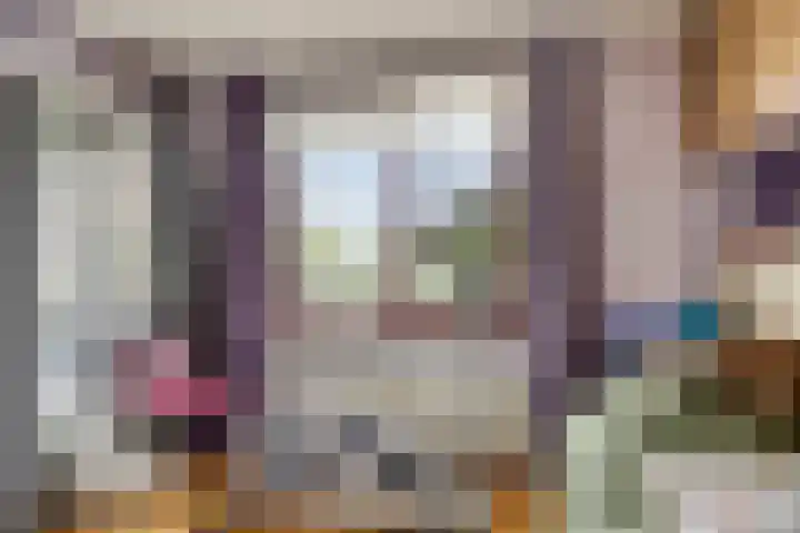 Du Meelaan 546 Zoetermeer thumbnail 17