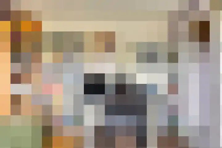 Du Meelaan 546 Zoetermeer thumbnail 19