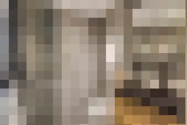Du Meelaan 546 Zoetermeer thumbnail 20