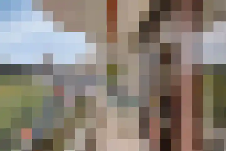 Du Meelaan 546 Zoetermeer thumbnail 23