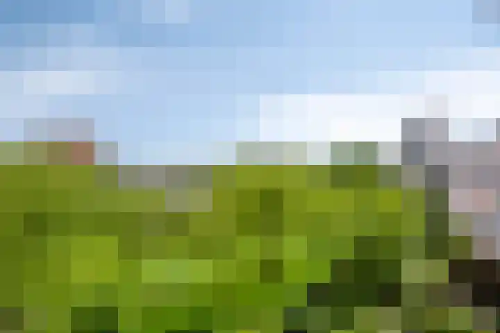 Du Meelaan 546 Zoetermeer thumbnail 26