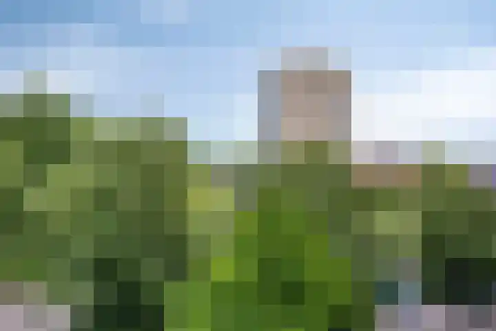 Du Meelaan 546 Zoetermeer thumbnail 28