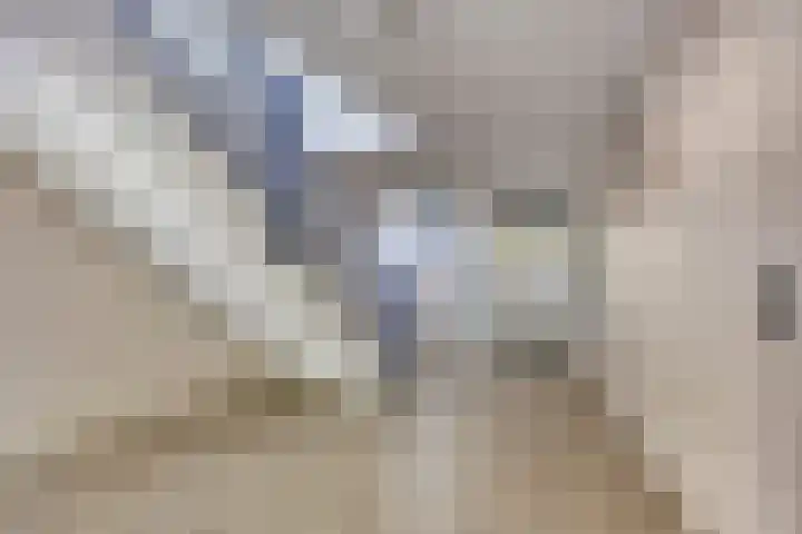 Du Meelaan 546 Zoetermeer thumbnail 5