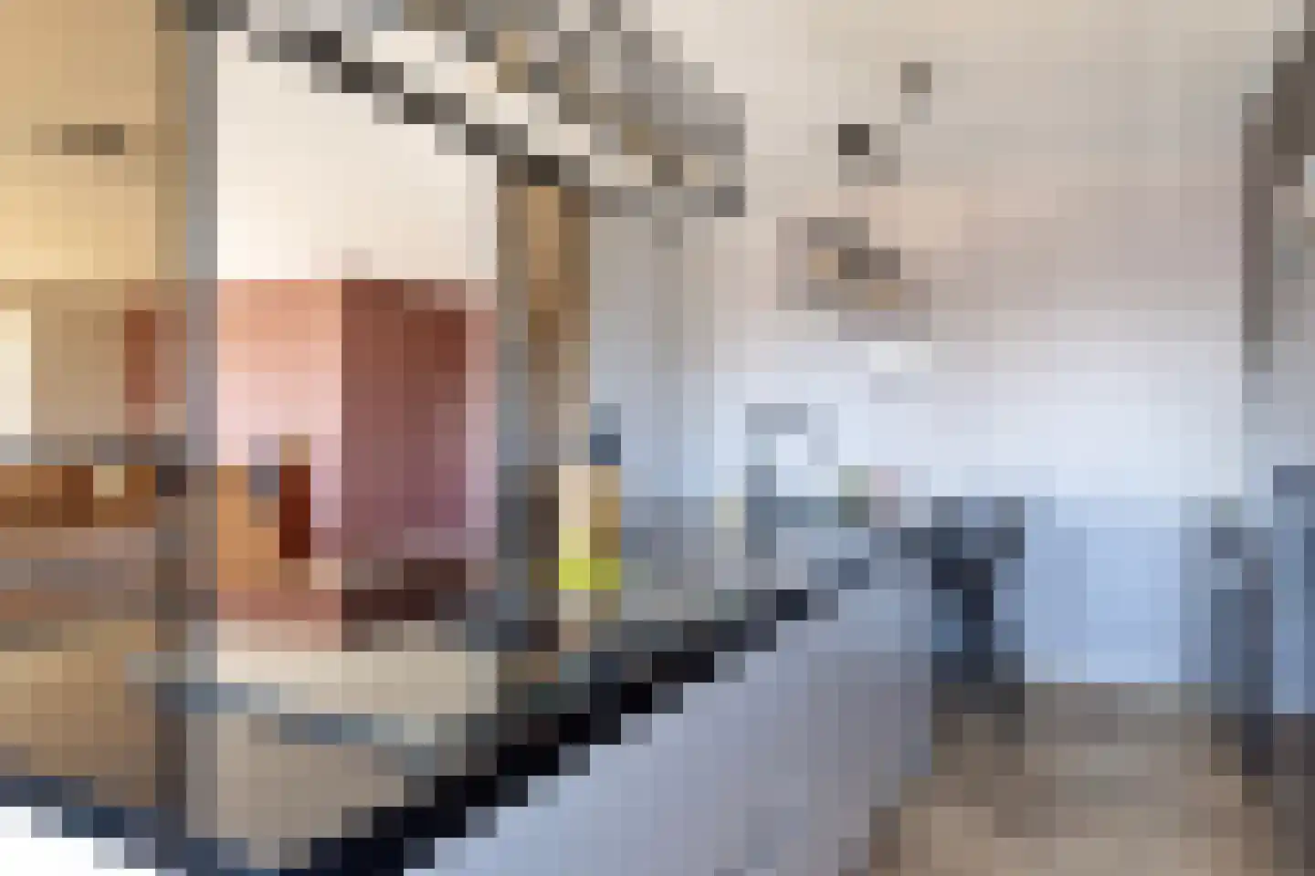 Du Meelaan 582 Q Zoetermeer thumbnail 18