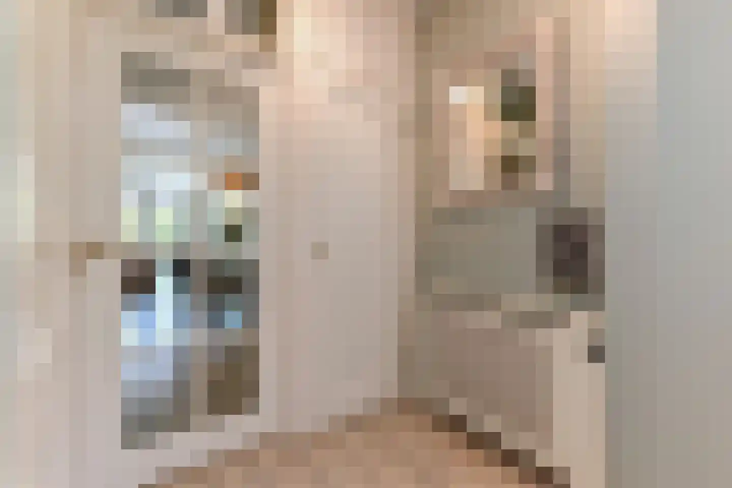 Du Perronhove 1 Zoetermeer thumbnail 11