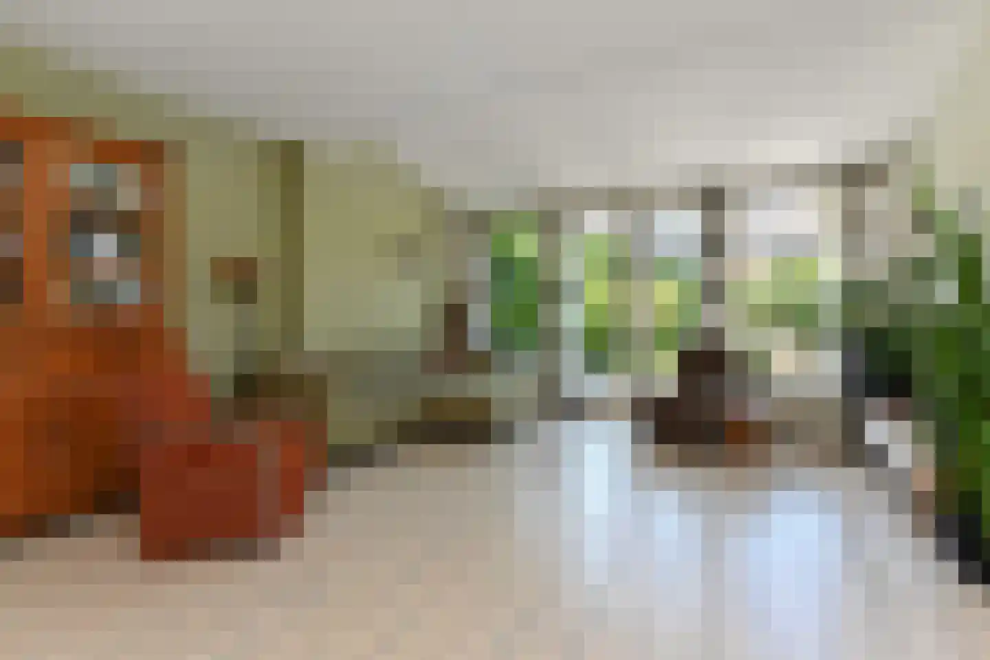 Du Perronhove 1 Zoetermeer thumbnail 14