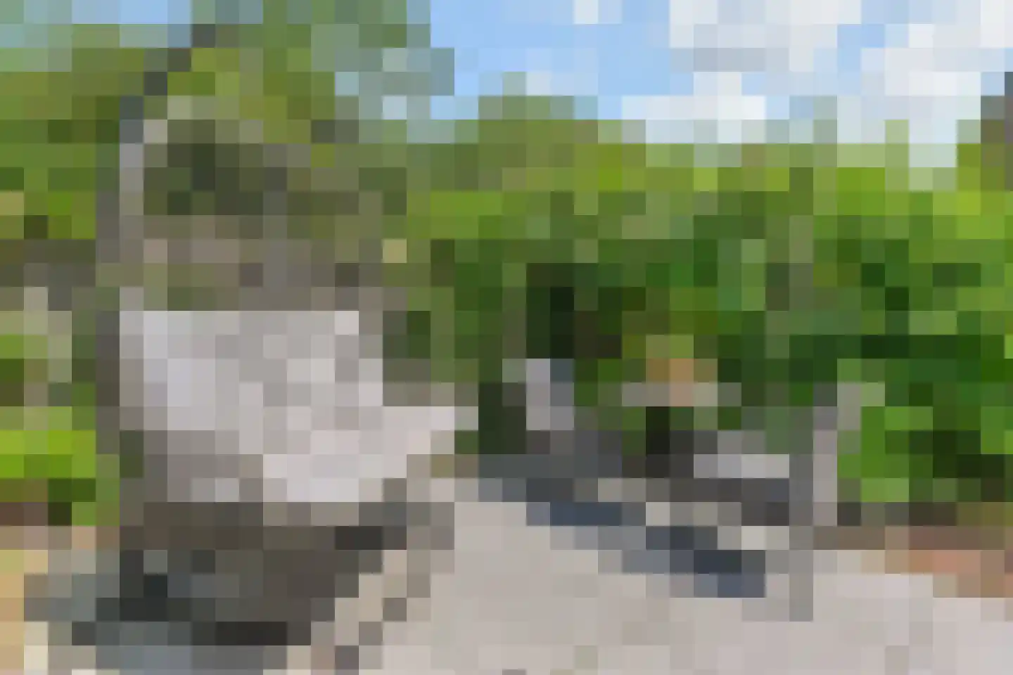 Du Perronhove 1 Zoetermeer thumbnail 19