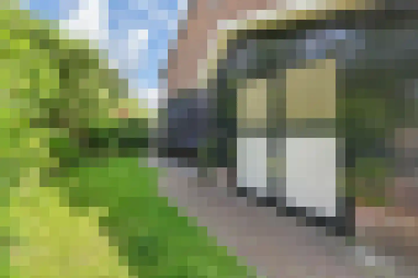 Du Perronhove 1 Zoetermeer thumbnail 21