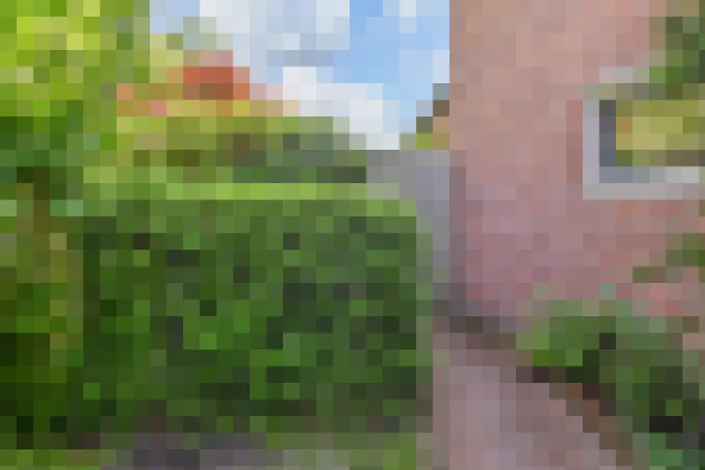 Du Perronhove 1 Zoetermeer thumbnail 22