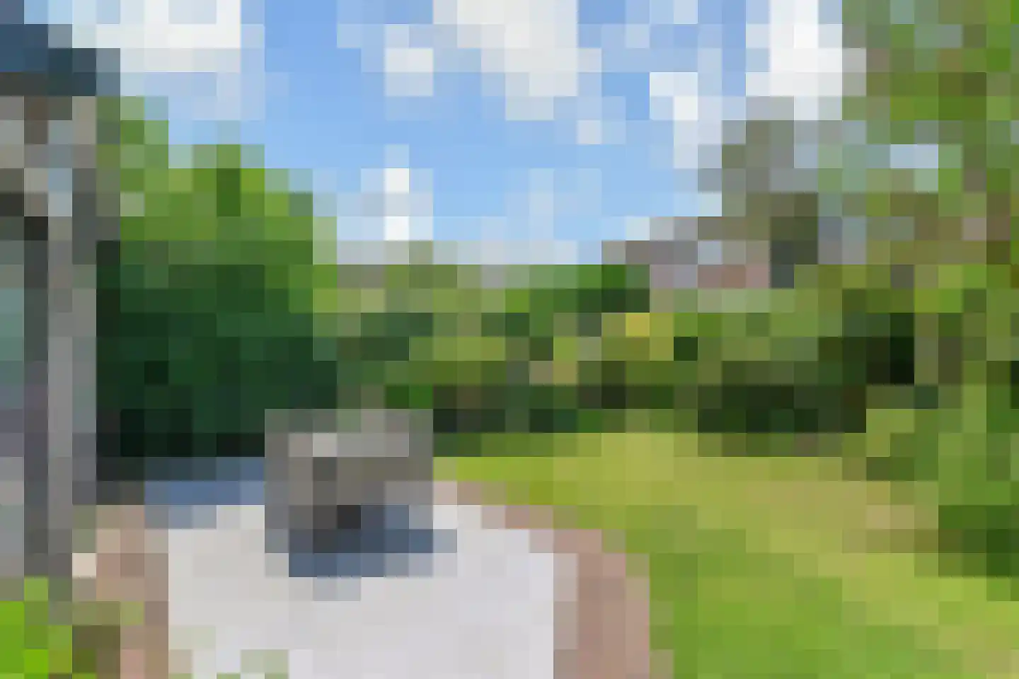Du Perronhove 1 Zoetermeer thumbnail 25