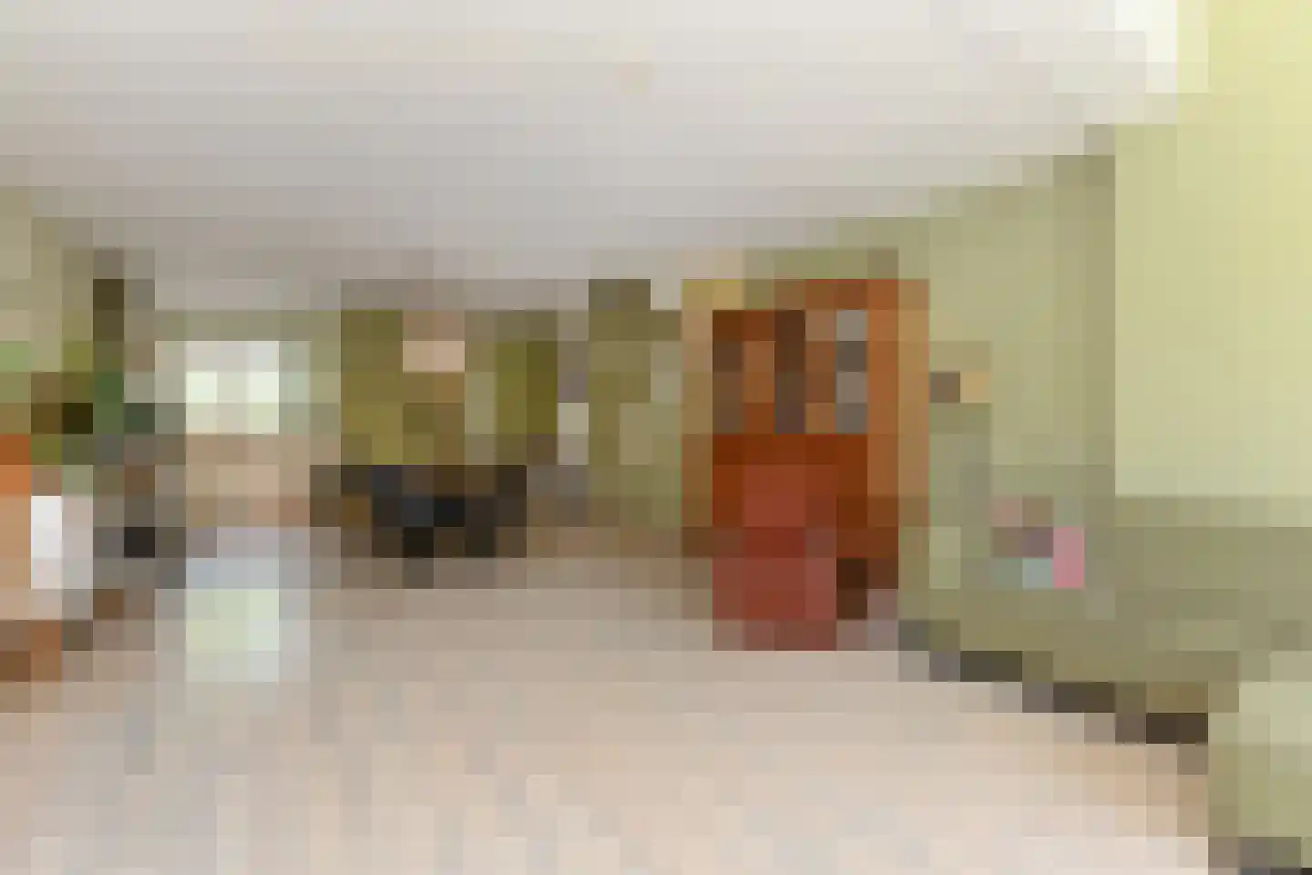 Du Perronhove 1 Zoetermeer thumbnail 29