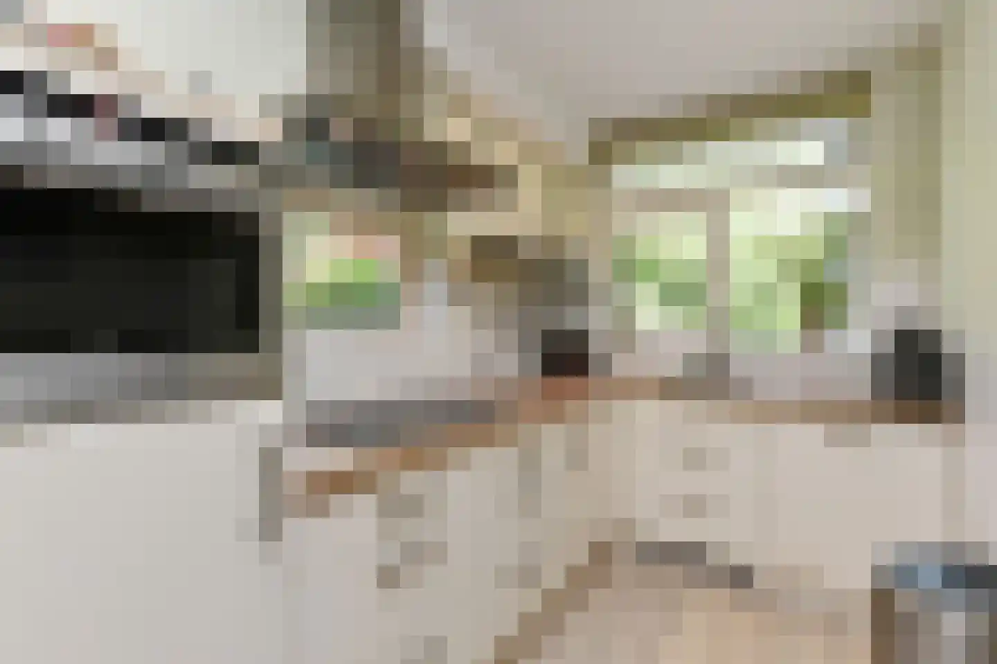 Du Perronhove 1 Zoetermeer thumbnail 30
