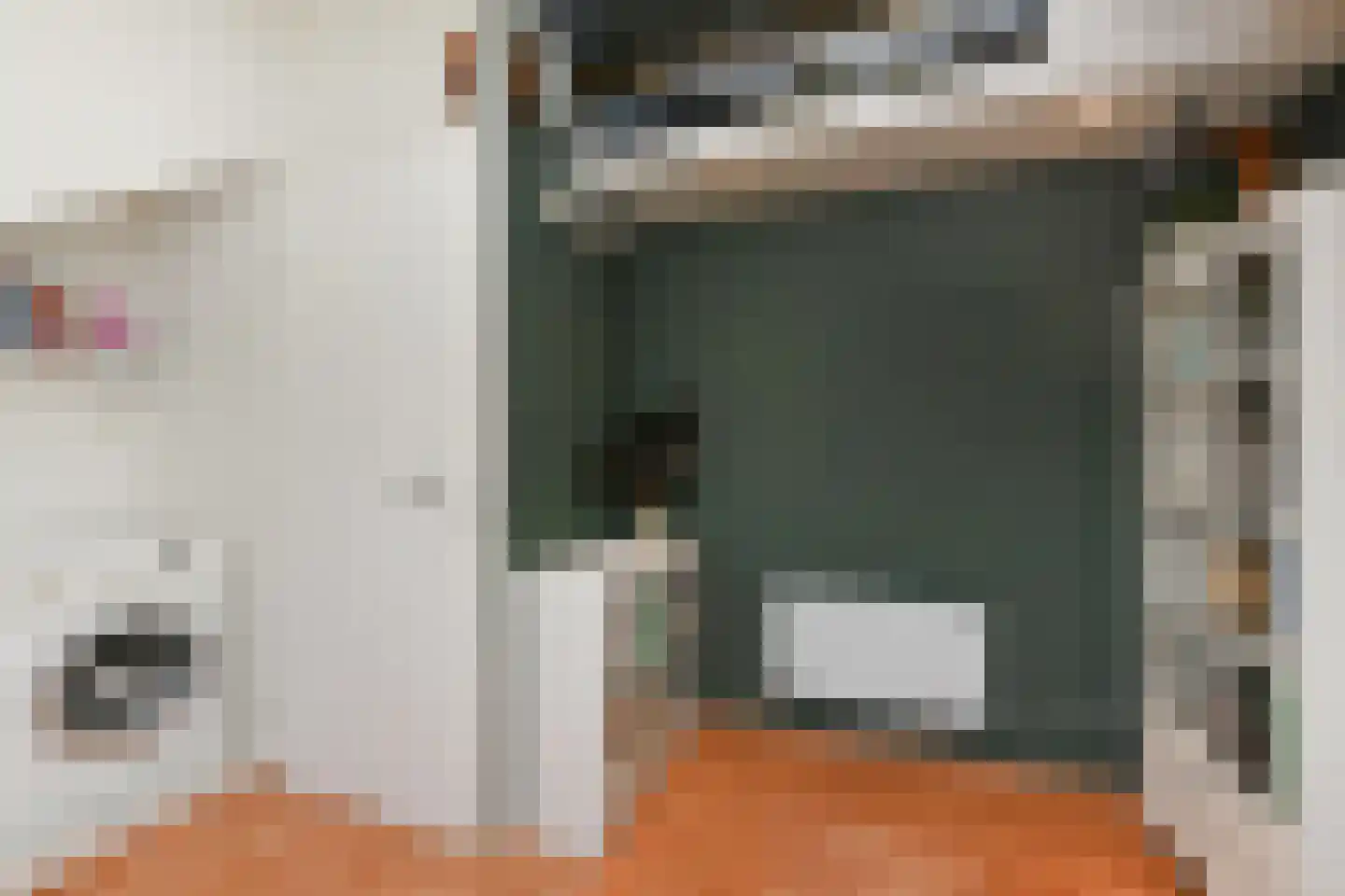 Du Perronhove 1 Zoetermeer thumbnail 47