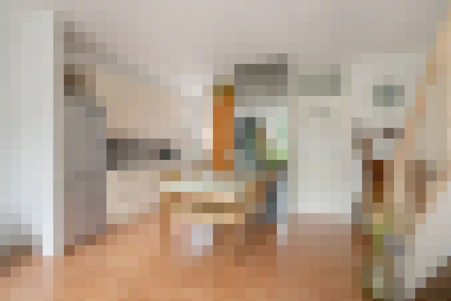 Du Perronhove 12 Zoetermeer thumbnail 12