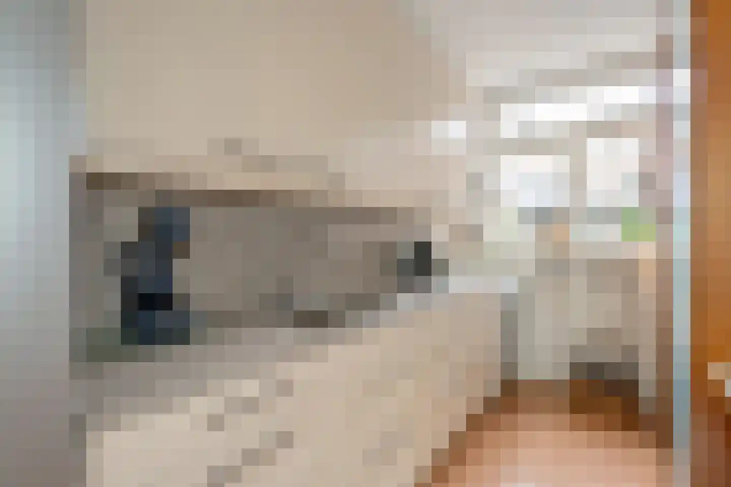 Du Perronhove 12 Zoetermeer thumbnail 13
