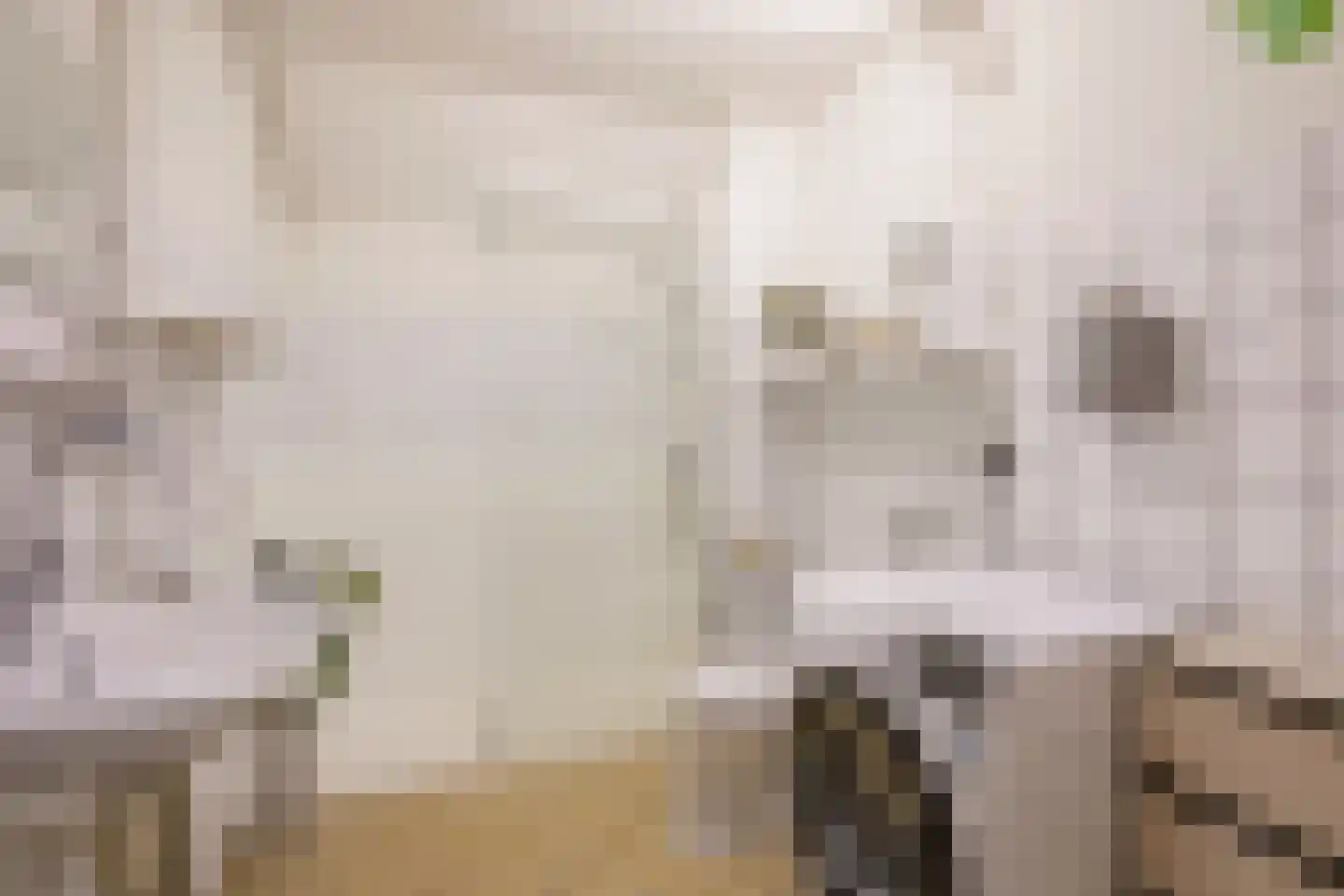 Du Perronhove 12 Zoetermeer thumbnail 20