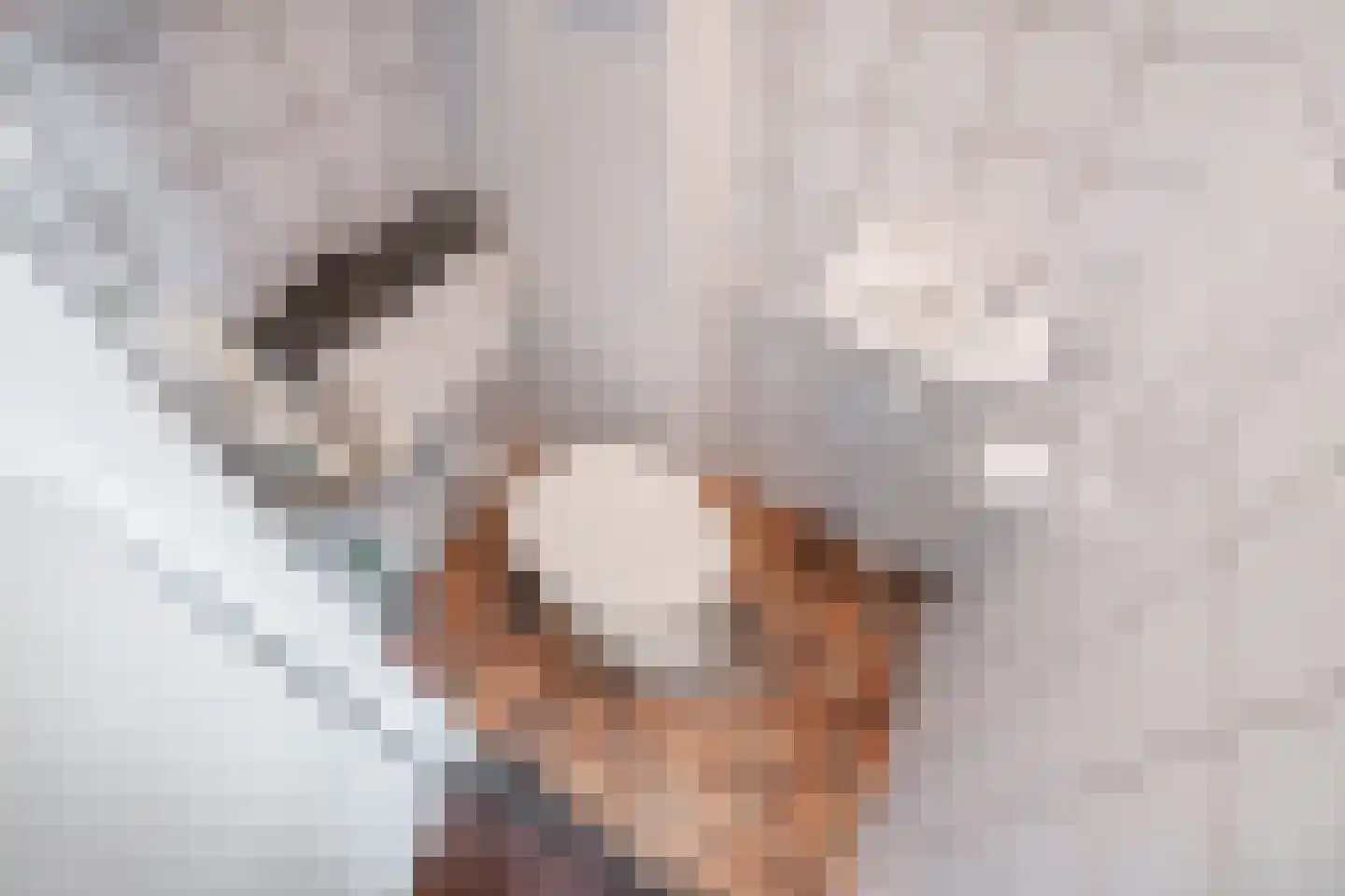 Du Perronhove 12 Zoetermeer thumbnail 29