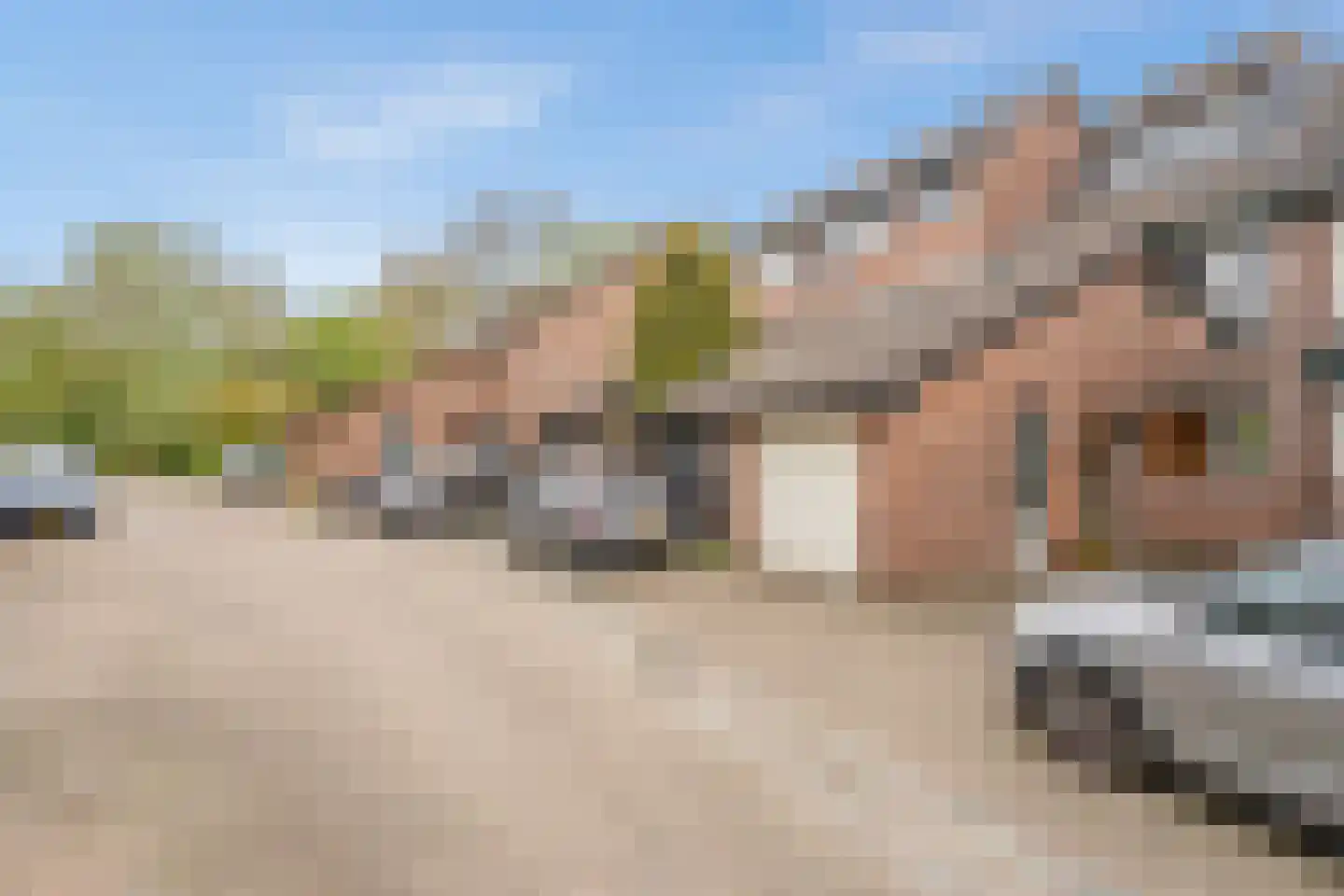 Du Perronhove 12 Zoetermeer thumbnail 31