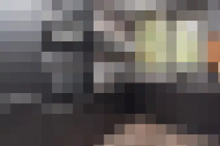 Du Perronhove 5 Zoetermeer thumbnail 14