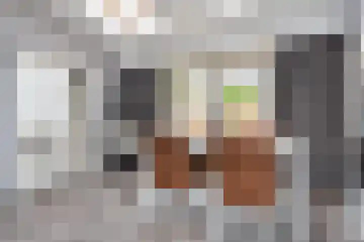 Du Perronhove 5 Zoetermeer thumbnail 18