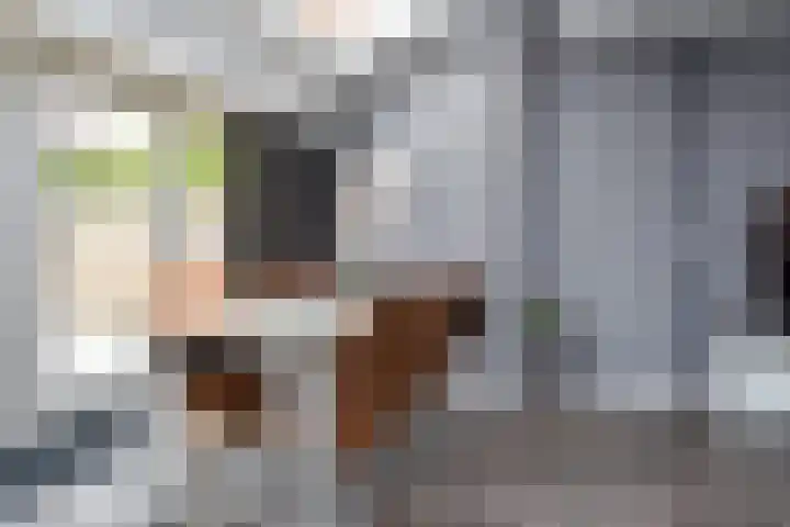 Du Perronhove 5 Zoetermeer thumbnail 20