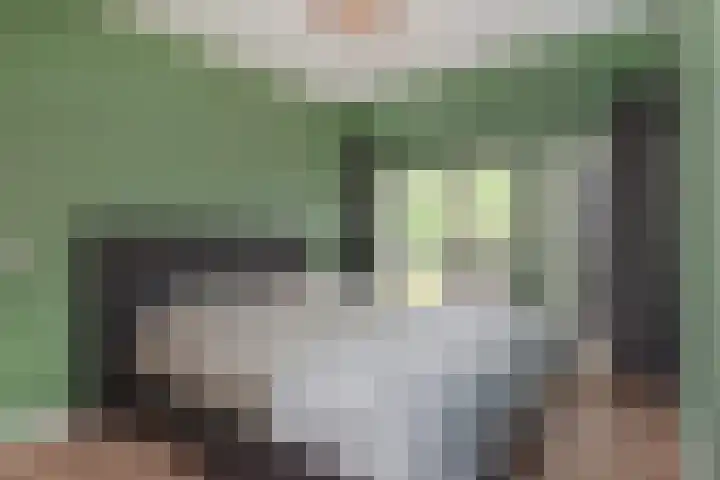 Du Perronhove 5 Zoetermeer thumbnail 29