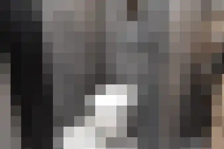 Du Perronhove 5 Zoetermeer thumbnail 34